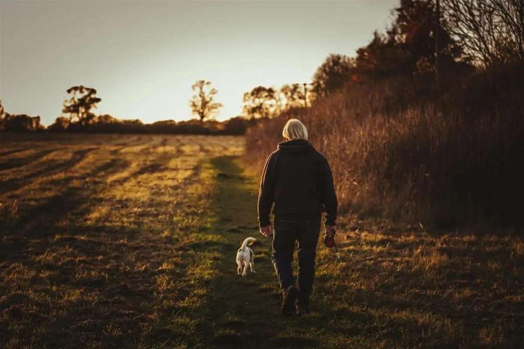 Spazierengehen ist gesund, fördert die Gemeinschaft und macht Spaß! 