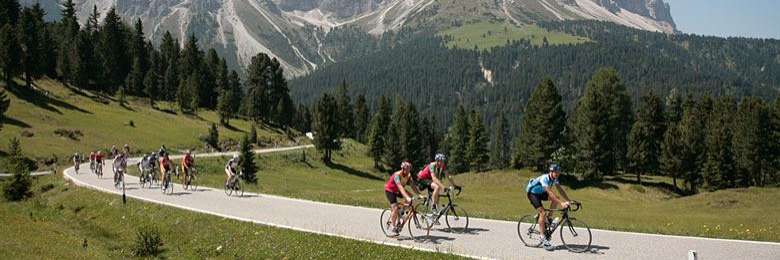 Freunde der Staubwolke